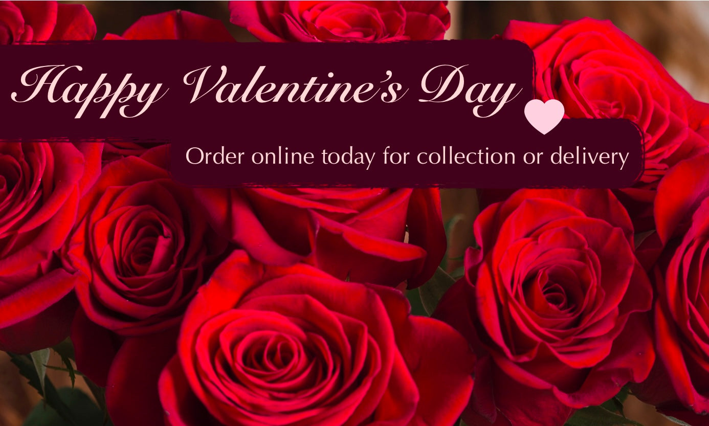 Valentine's Collection