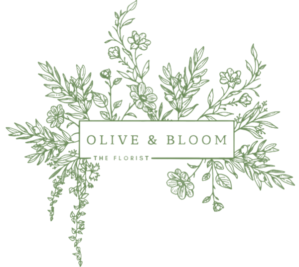 Olive and Bloom 