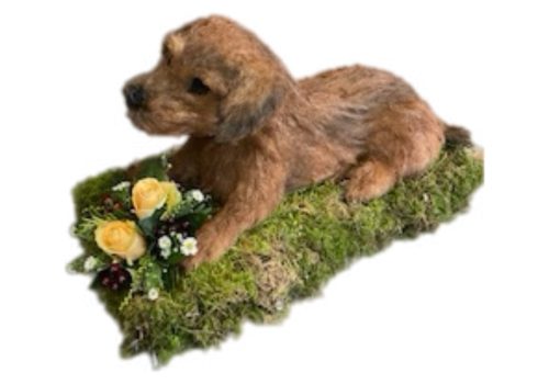 Terrier